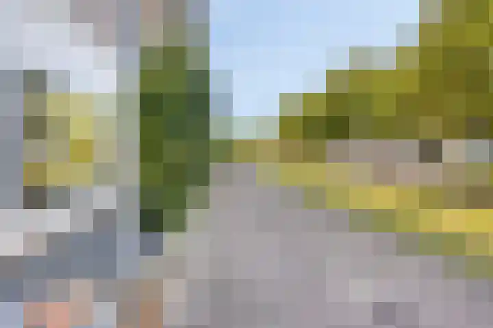 Zonnewende 161 Apeldoorn thumbnail 38