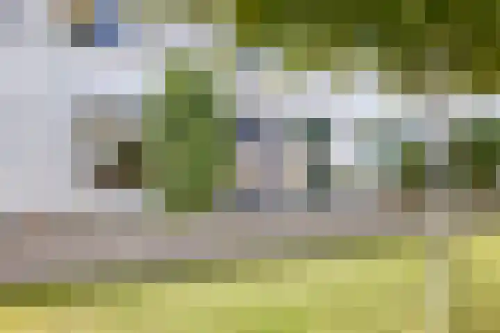 Zonnewende 161 Apeldoorn thumbnail 39