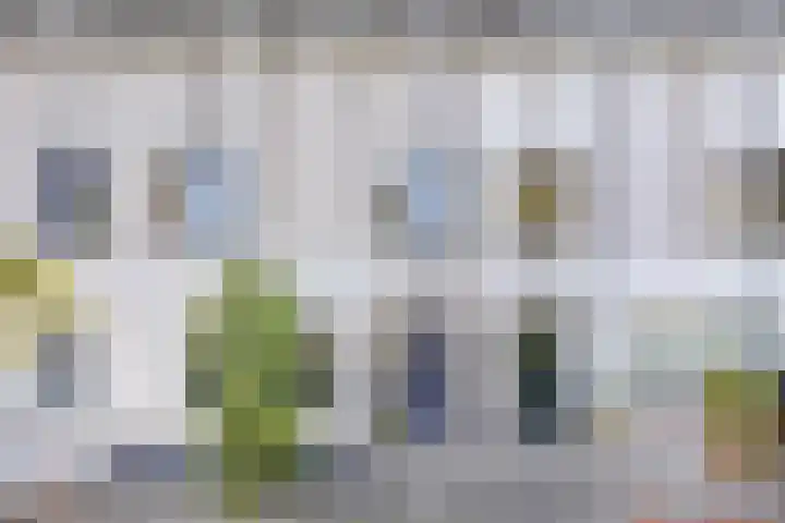 Zonnewende 161 Apeldoorn thumbnail 40