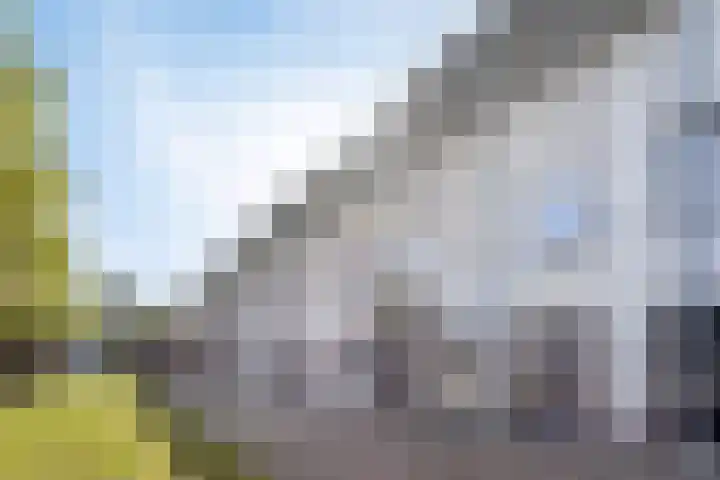 Zonnewende 161 Apeldoorn thumbnail 42