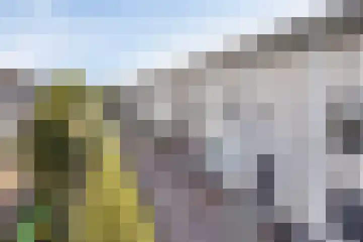 Zonnewende 161 Apeldoorn thumbnail 44