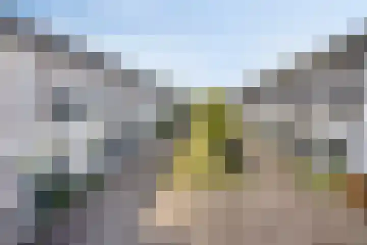 Zonnewende 161 Apeldoorn thumbnail 45