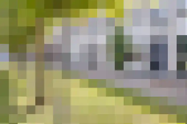 Zonnewende 161 Apeldoorn thumbnail 46