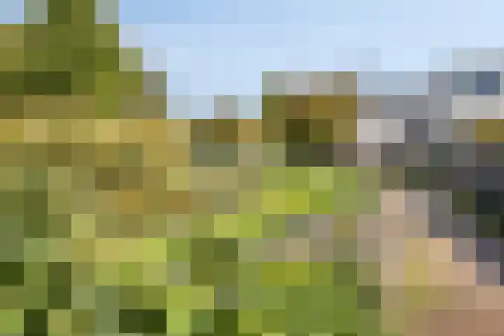 Zonnewende 161 Apeldoorn thumbnail 47