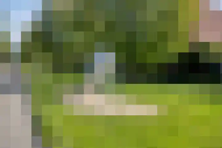 Zonnewende 161 Apeldoorn thumbnail 49