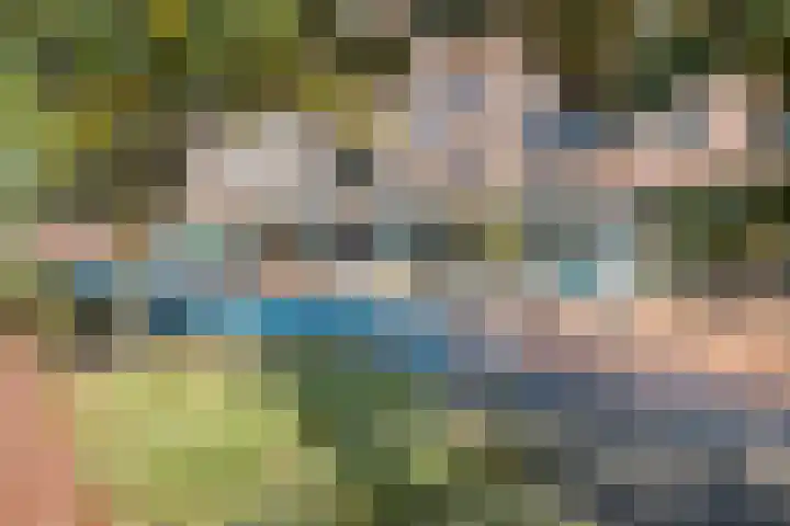 Zonnewende 161 Apeldoorn thumbnail 50