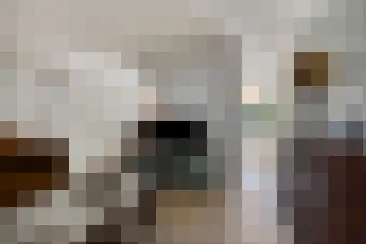 Zonnewende 161 Apeldoorn thumbnail 7