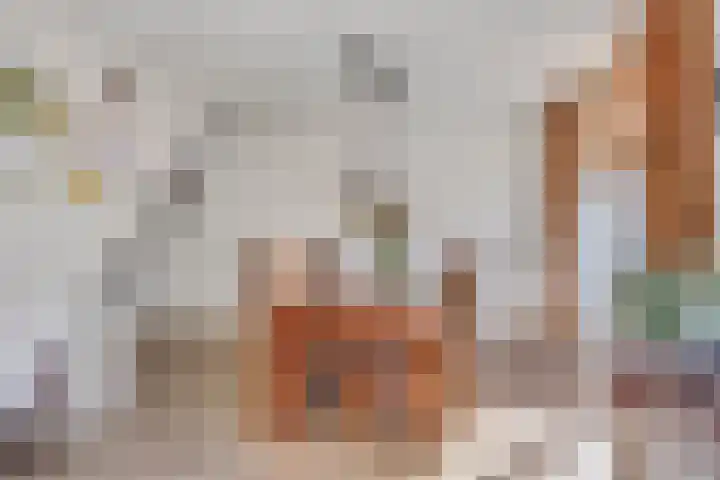 Zonnewende 161 Apeldoorn thumbnail 8