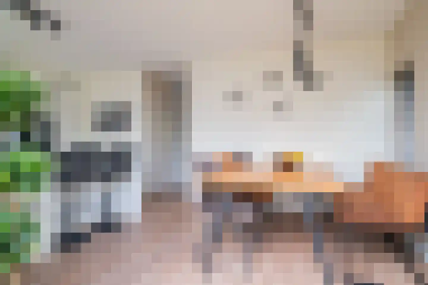 Zonnewende 171 Apeldoorn thumbnail 14