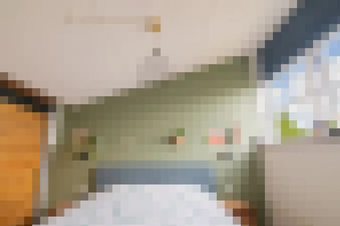 Zonnewende 171 Apeldoorn thumbnail 18