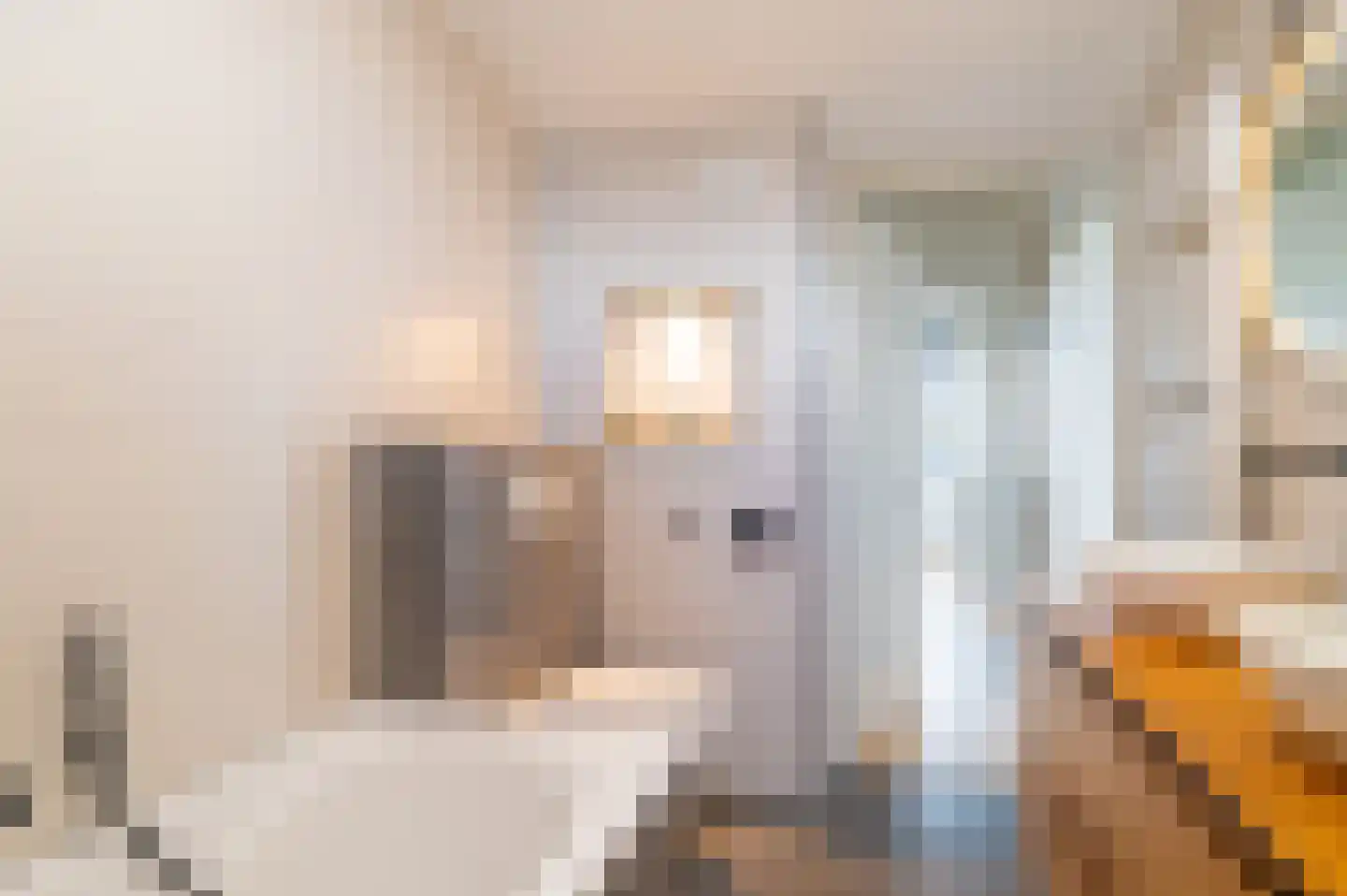 Zonnewende 171 Apeldoorn thumbnail 26