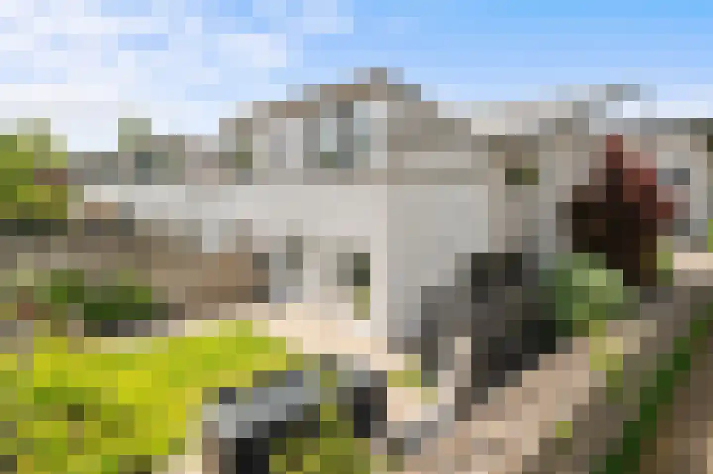 Zonnewende 171 Apeldoorn thumbnail 28