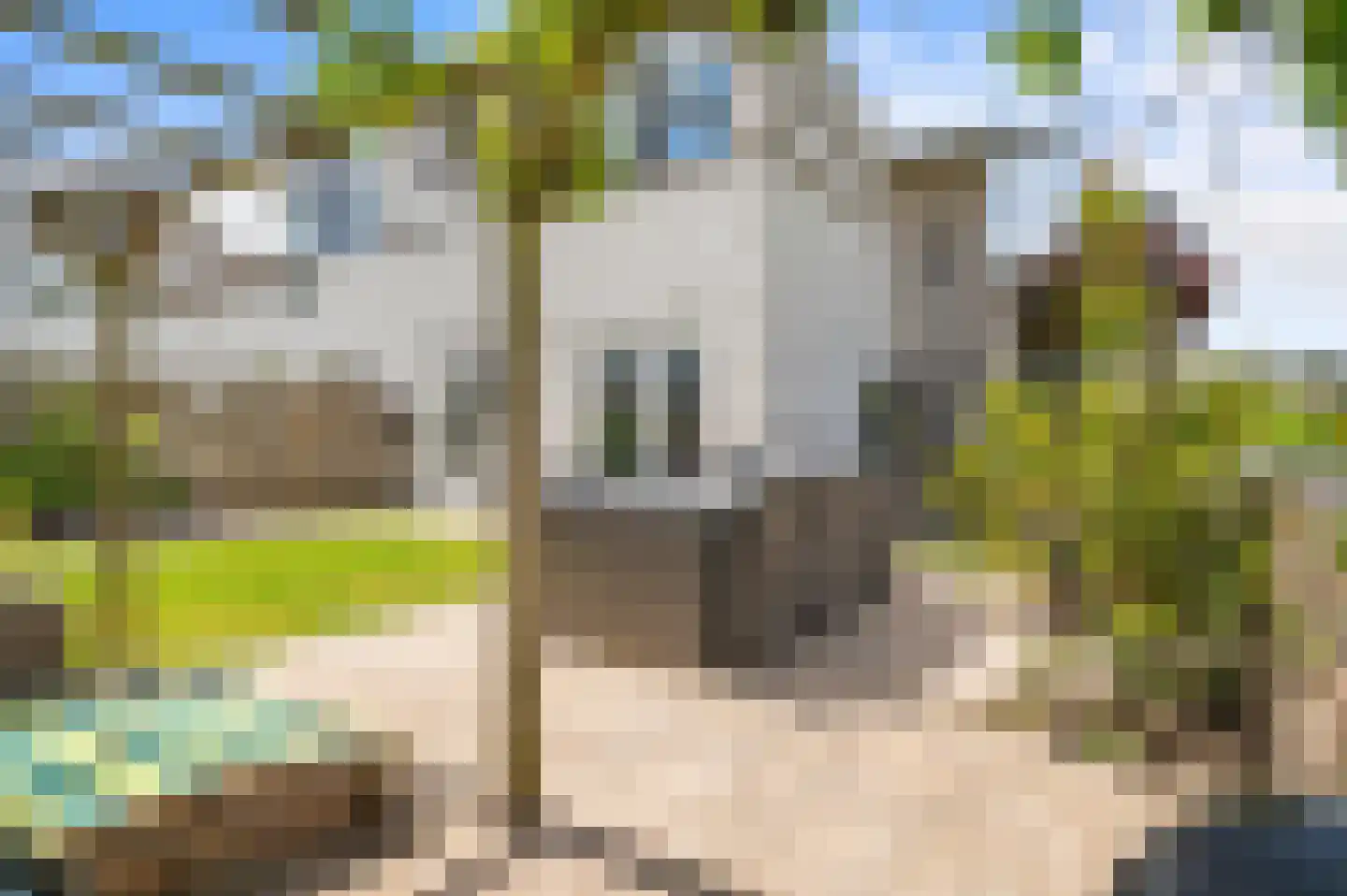 Zonnewende 171 Apeldoorn thumbnail 29