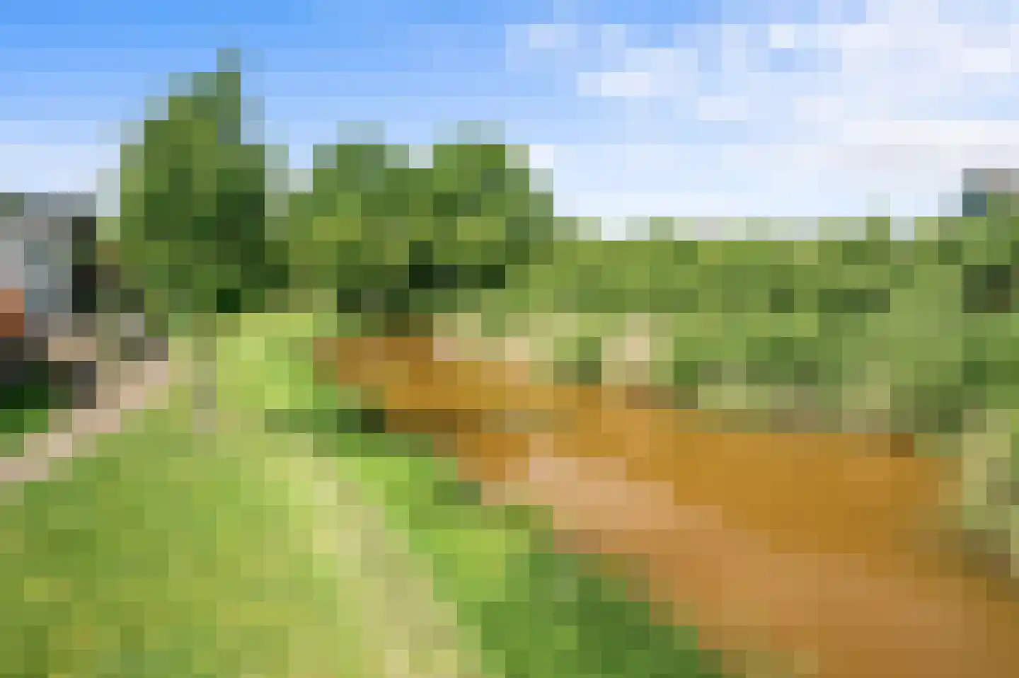 Zonnewende 171 Apeldoorn thumbnail 38