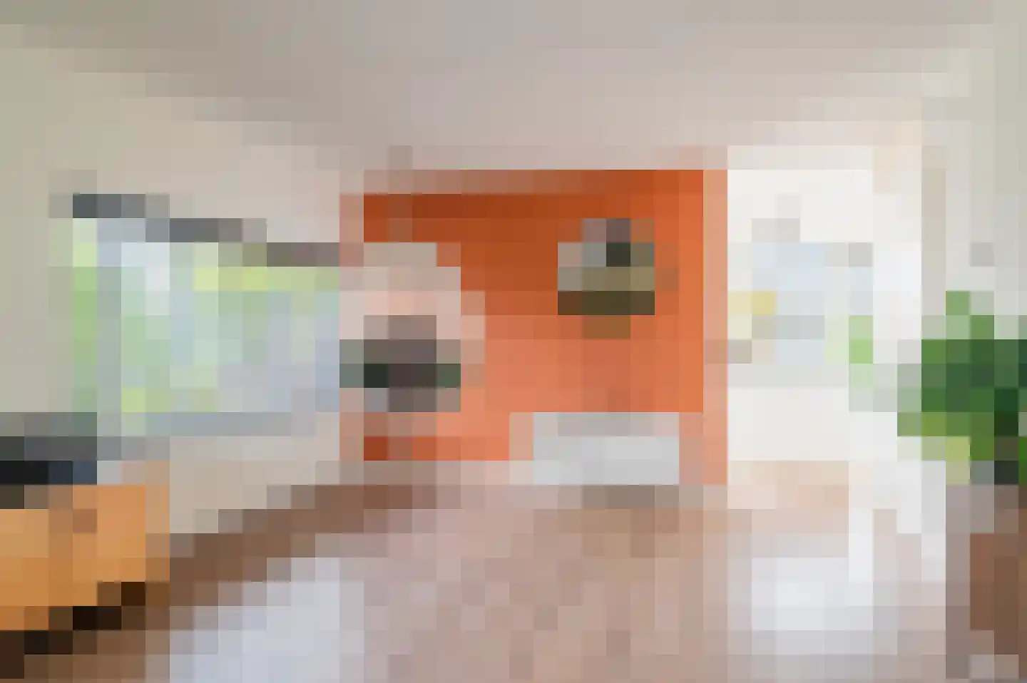 Zonnewende 171 Apeldoorn thumbnail 7