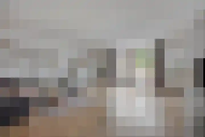 Zonnewende 172 Apeldoorn thumbnail 10