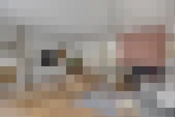 Zonnewende 172 Apeldoorn thumbnail 12