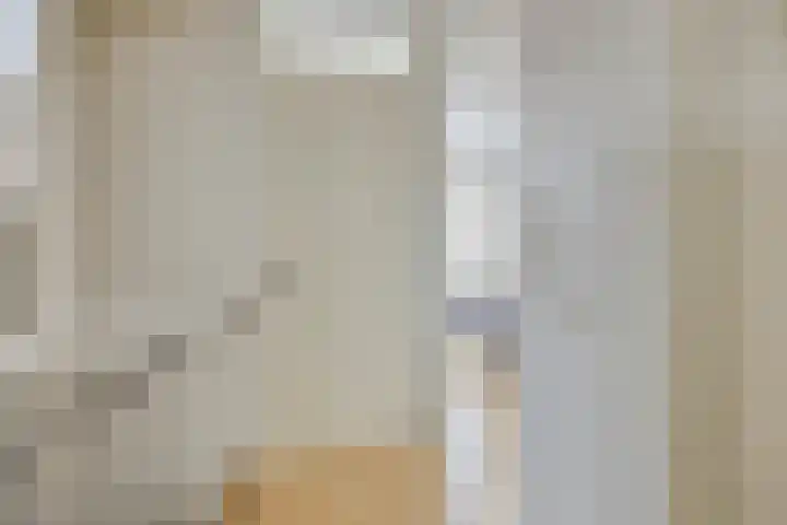 Zonnewende 172 Apeldoorn thumbnail 13