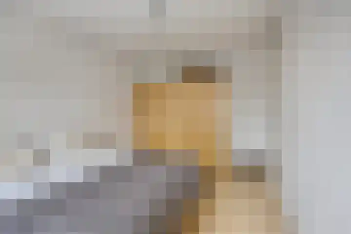 Zonnewende 172 Apeldoorn thumbnail 15