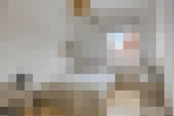 Zonnewende 172 Apeldoorn thumbnail 16
