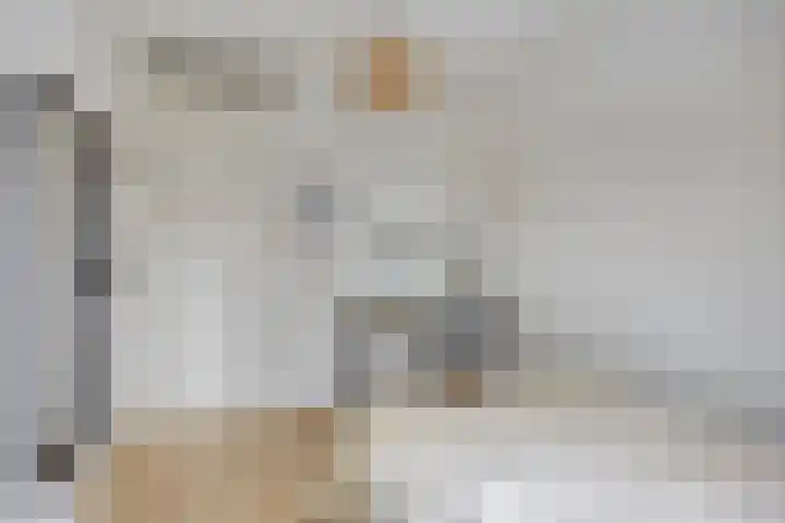 Zonnewende 172 Apeldoorn thumbnail 17