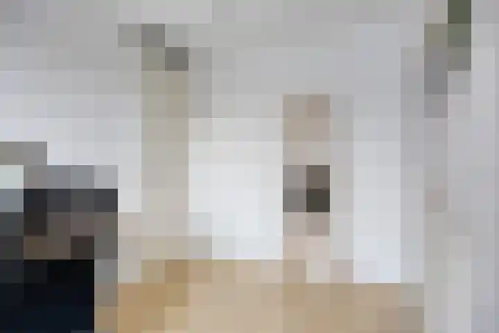 Zonnewende 172 Apeldoorn thumbnail 19