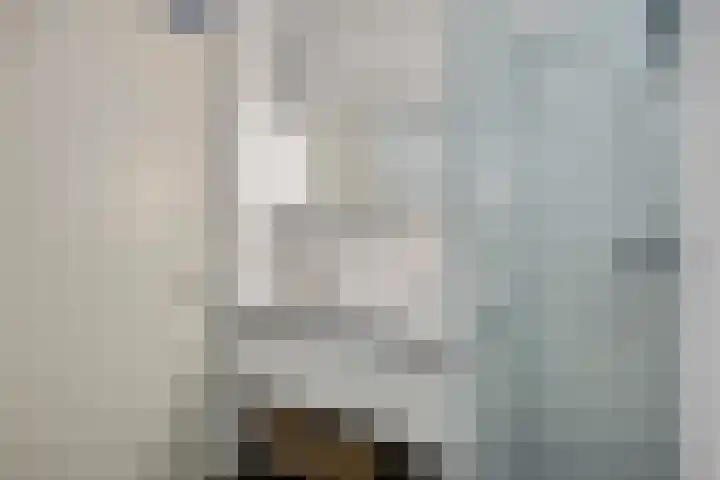 Zonnewende 172 Apeldoorn thumbnail 21