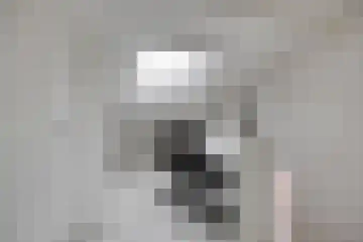 Zonnewende 172 Apeldoorn thumbnail 22