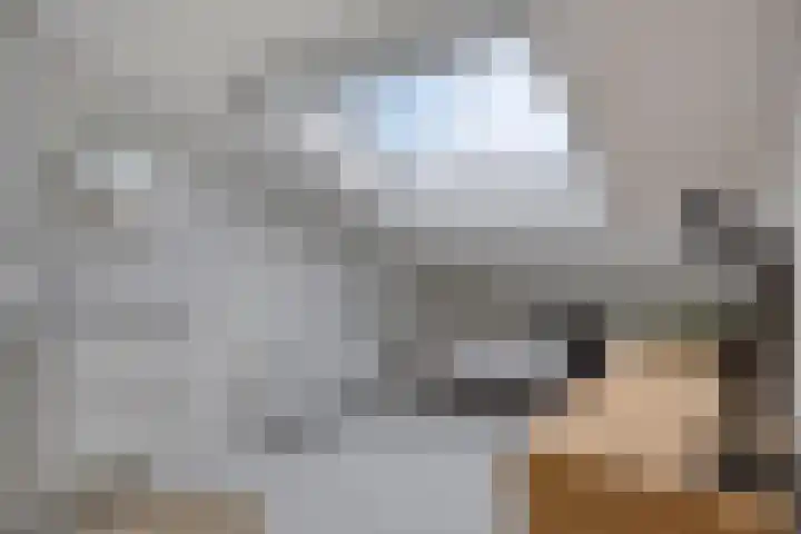 Zonnewende 172 Apeldoorn thumbnail 26