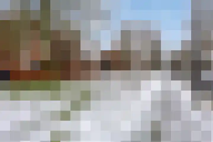 Zonnewende 172 Apeldoorn thumbnail 31
