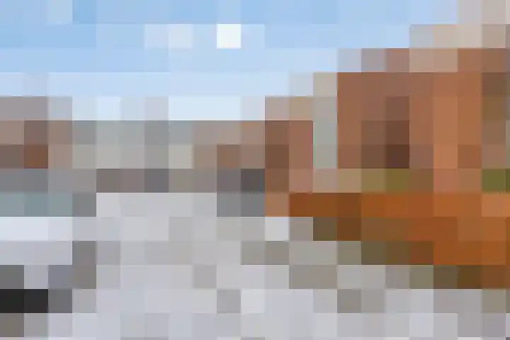 Zonnewende 172 Apeldoorn thumbnail 4