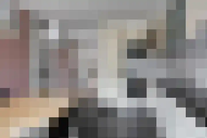 Zonnewende 172 Apeldoorn thumbnail 9