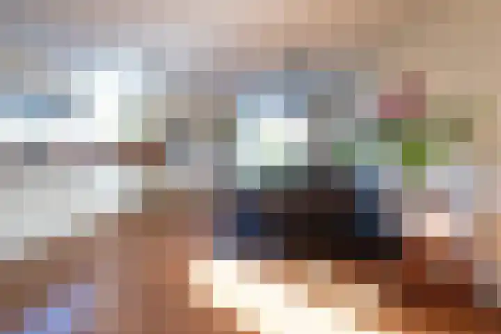 Zonnewende 218 Apeldoorn thumbnail 12