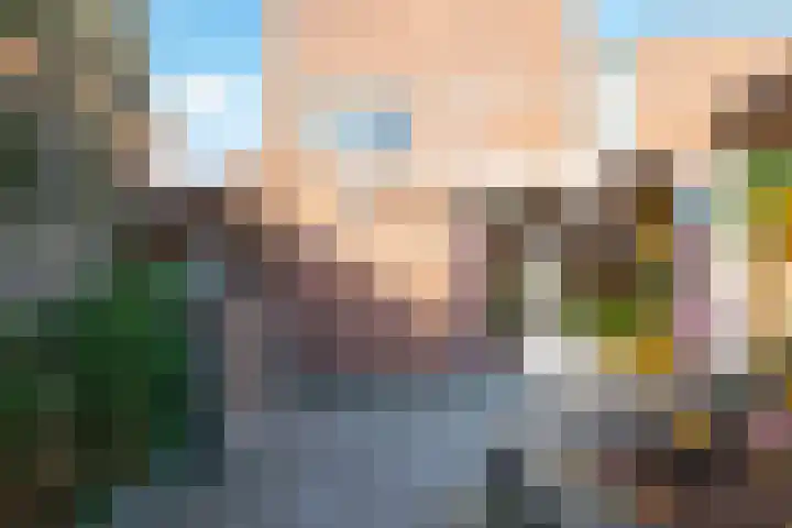 Zonnewende 218 Apeldoorn thumbnail 17