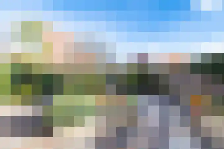 Zonnewende 218 Apeldoorn thumbnail 19