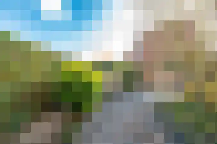 Zonnewende 218 Apeldoorn thumbnail 21