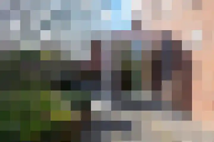 Zonnewende 218 Apeldoorn thumbnail 22