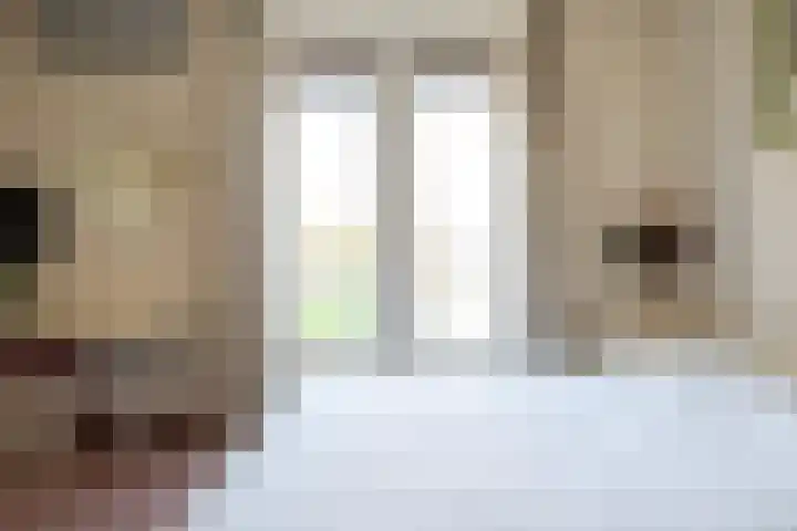 Zonnewende 218 Apeldoorn thumbnail 25