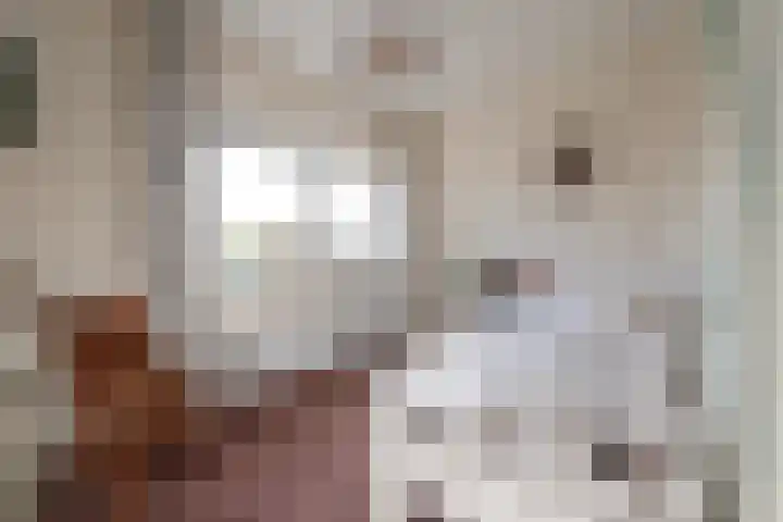Zonnewende 218 Apeldoorn thumbnail 28