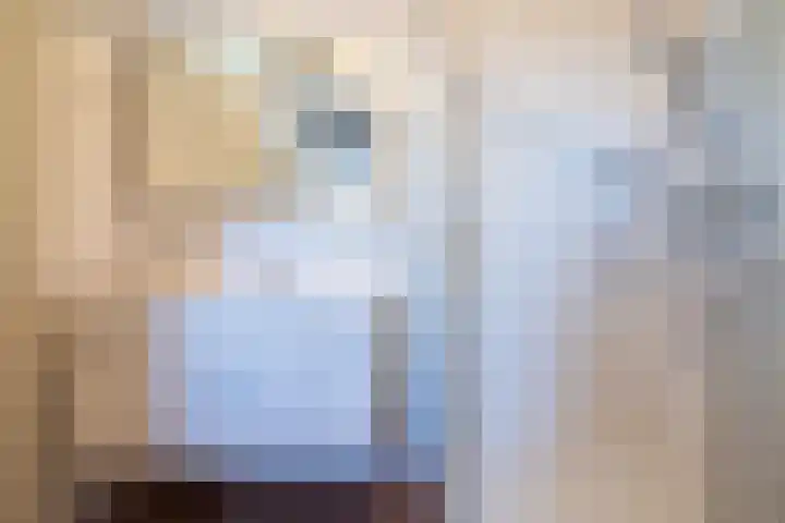 Zonnewende 218 Apeldoorn thumbnail 31