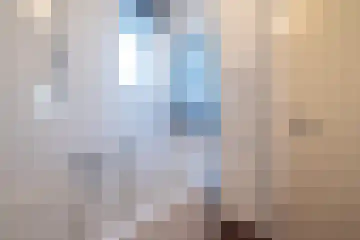 Zonnewende 218 Apeldoorn thumbnail 33