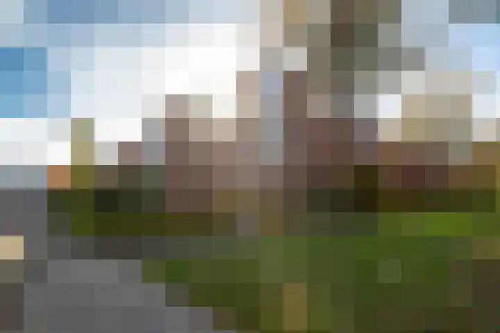 Zonnewende 218 Apeldoorn thumbnail 41