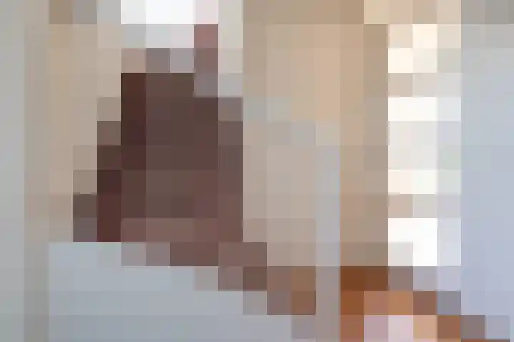 Zonnewende 218 Apeldoorn thumbnail 6