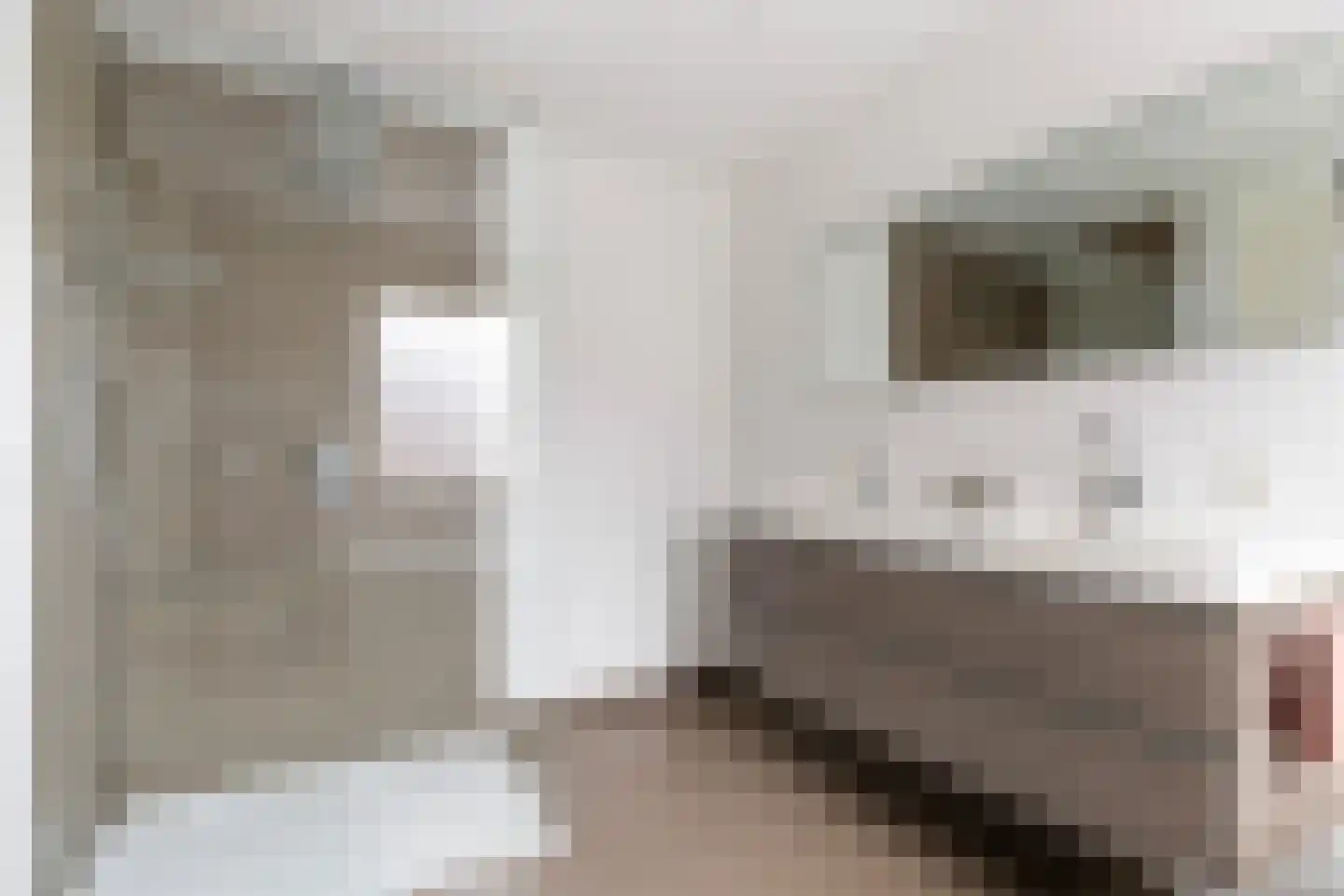 Zonnewende 242 Apeldoorn thumbnail 32