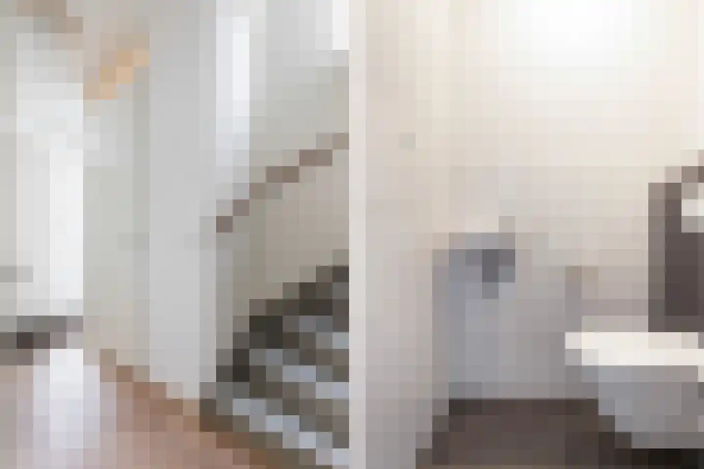 Zonnewende 242 Apeldoorn thumbnail 8