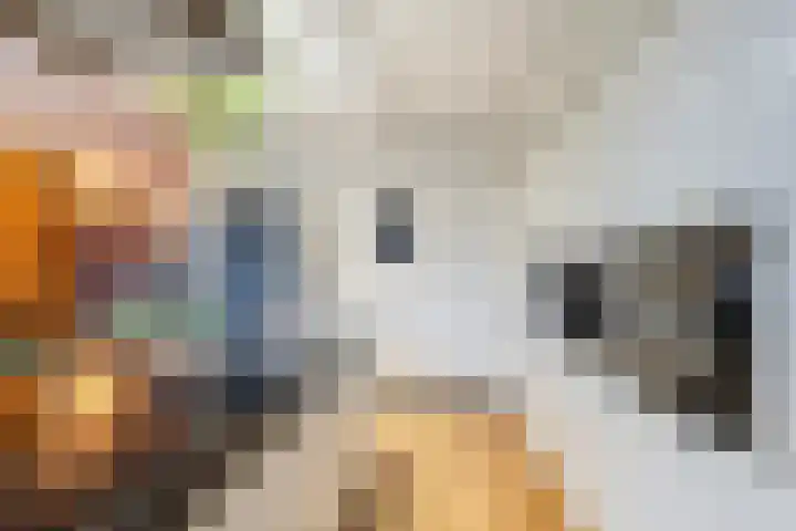 Zonnewende 249 Apeldoorn thumbnail 10