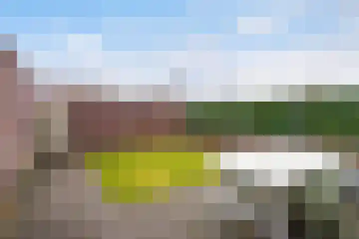Zonnewende 249 Apeldoorn thumbnail 12