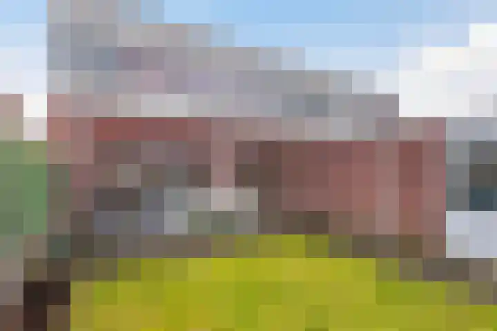 Zonnewende 249 Apeldoorn thumbnail 13