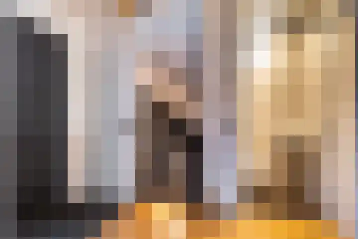 Zonnewende 249 Apeldoorn thumbnail 17