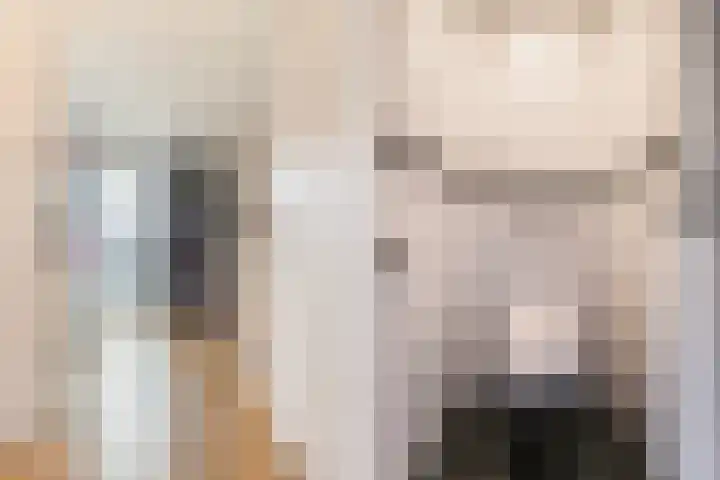 Zonnewende 249 Apeldoorn thumbnail 21